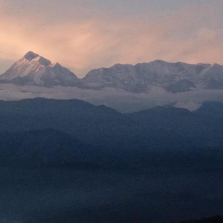 Golden Himalaya Homestay Kausani Eksteriør billede