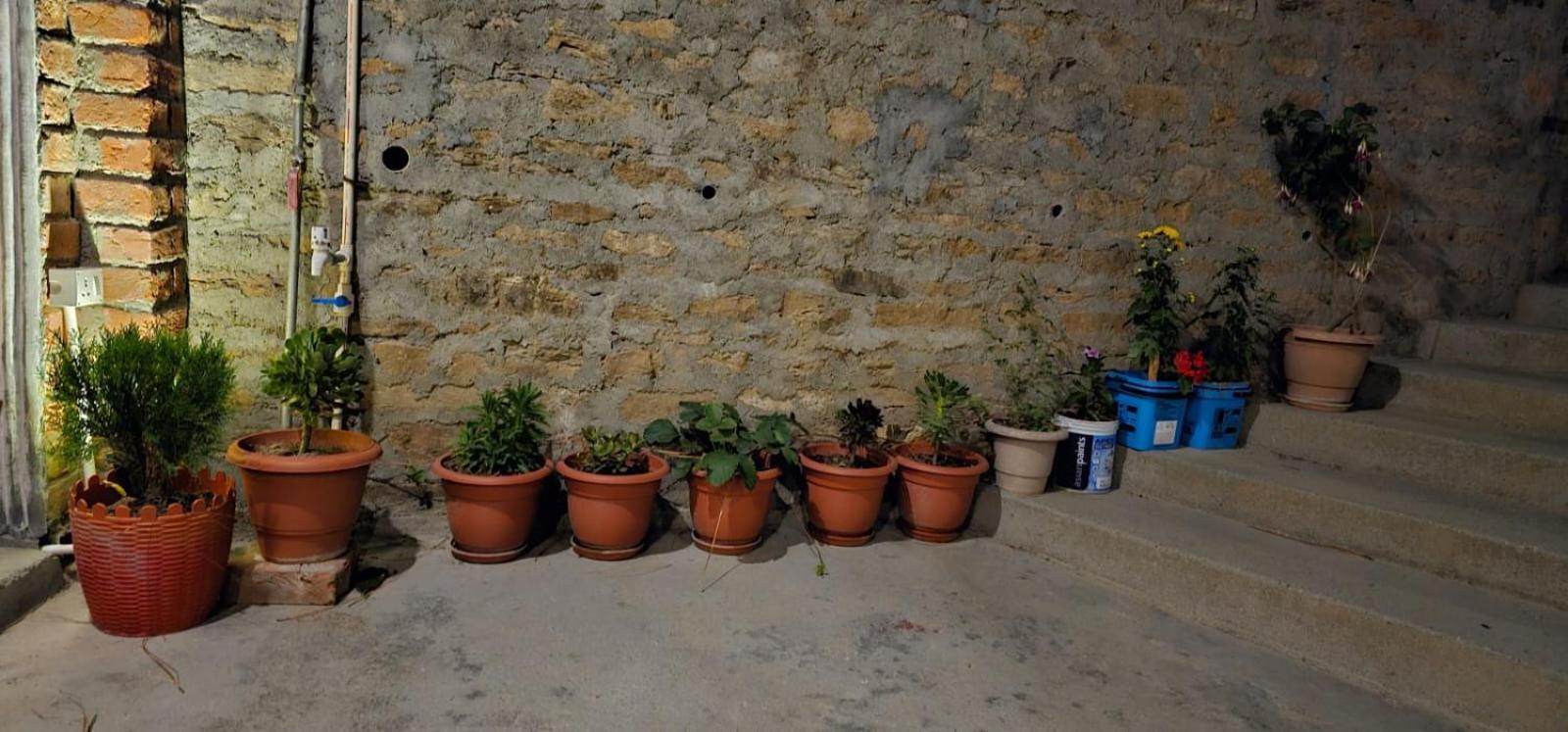 Golden Himalaya Homestay Kausani Eksteriør billede